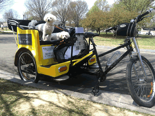 Pet Friendly Tours